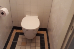 renovatie-toilet-oude-stijl-2